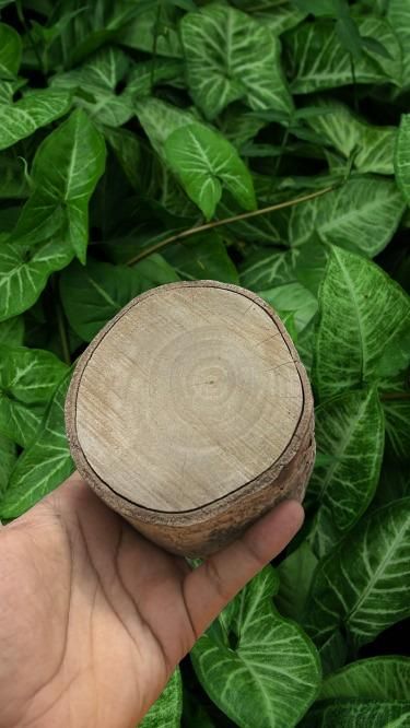 Jamun Wood Pack of 1